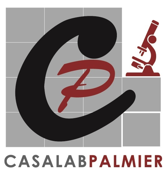  CASALAB PALMIER